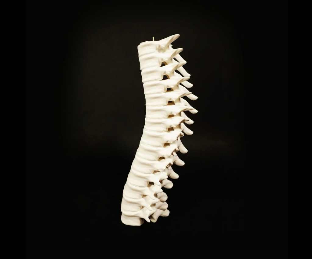 Bougeoir colonne vertébrale - cabinet de curiosité - décoration originale d’Halloween - inspiration Harry Potter (10cm, Ivoire)